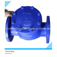 En1092-1 En558 Cast Steel Flanged Swing Check Valve